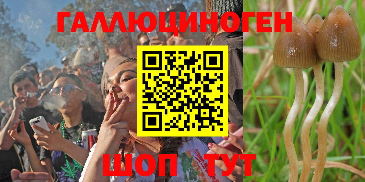 купить  сайты  Вход с VPN  Жигулёвск  Псилоцибиновые грибы MAGIC MUSHROOMS 